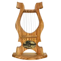 Photoroom-20250117_095543-no-bg-preview (carve.photos)