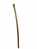 A walking stick with a lion's head