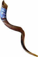 Shofar kudu, Roaring  Lion of Judah Wrapped in the Israeli Flag, handmade