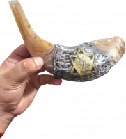 Shofar ram, silver and gold plated, Star of David pattern, handmade