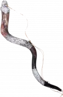 Large kudu shofar, for anointing oil, silver plated, handmade