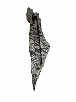 A case for a mezuzah made of spotted crocodile skin_2