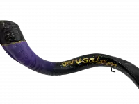 Shofar Night Jerusalem_4