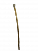 A walking stick with a lion's head