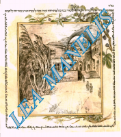 19_Кевер рабби Меир Бааль aНес