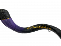 Shofar Night Jerusalem_4