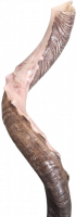 Kudu shofar with slits on the side_1
