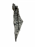 A case for a mezuzah made of spotted crocodile skin_2